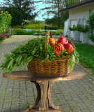 Happiness is a basket of fresh vegetables.