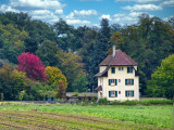 There is a harmony in autumn, and a luster in its sky....