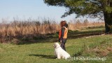 2019 CSCA Hunt 190317 016.jpg