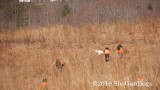 2019 CSCA Hunt 190317 032.jpg