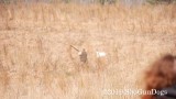 2019 CSCA Hunt 190317 038.jpg