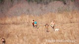 2019 CSCA Hunt 190317 052.jpg