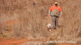 2019 CSCA Hunt 190317 056.jpg