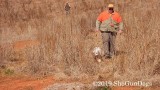 2019 CSCA Hunt  190317 056.jpg