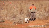 2019 CSCA Hunt 190317 057.jpg