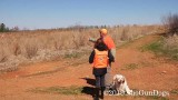 2019 CSCA Hunt  190317 058.jpg