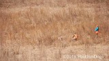 2019 CSCA Hunt 190317 065.jpg