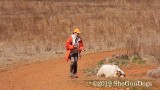 2019 CSCA Hunt 190317 068.jpg