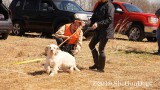 2019 CSCA Hunt 190317 075.jpg