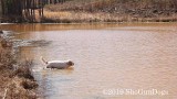 2019 CSCA Hunt 190317 094.jpg