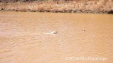 2019 CSCA Hunt 190317 095.jpg