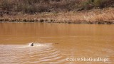 2019 CSCA Hunt 190317 106.jpg