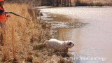 2019 CSCA Hunt 190317 113.jpg