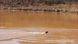 2019 CSCA Hunt 190317 133.jpg