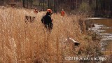 2019 CSCA Hunt 190317 135.jpg