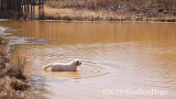 2019 CSCA Hunt 190317 139.jpg