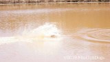 2019 CSCA Hunt 190317 144.jpg