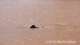 2019 CSCA Hunt 190317 152.jpg