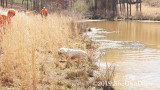2019 CSCA Hunt 190317 166.jpg