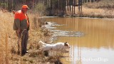 2019 CSCA Hunt 190317 169.jpg