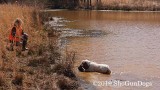 2019 CSCA Hunt 190317 179.jpg
