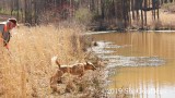 2019 CSCA Hunt 190317 183.jpg
