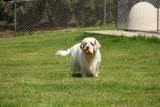 Roanan's Gallery Page(s) 7-8 Updated 5/9/2020