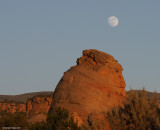 Elephant-Toes-Rock.jpg