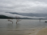 central highlands between hue and da nang, vietnam