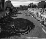20191013_8783_bw copy.jpg