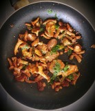 chanterelles (foxy lady)