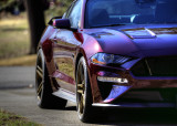 _DSC5018_Enhancer1080.jpg