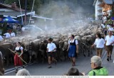 Viehscheid_2018-09-19_017.jpg