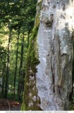 Viehscheid_2018-09-19_055.jpg