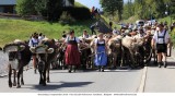 Viehscheid_2018-09-19_104.jpg