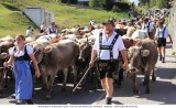 Viehscheid_2018-09-19_106.jpg