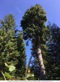 Am Walmendingerhorn und abstieg_2018-09-17_053.jpg