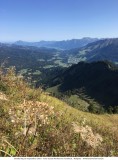 Walmendingerhorn - Abstieg W„ldele_2018-09-20_015.jpg