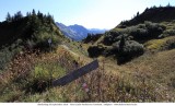 Walmendingerhorn - Abstieg W„ldele_2018-09-20_033.jpg