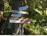 Walmendingerhorn - Abstieg W„ldele_2018-09-20_070.jpg