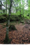 Dies und Das ins KleinWalserTal_2018-09-22_060.jpg