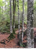 Dies und Das ins KleinWalserTal_2018-09-22_061.jpg