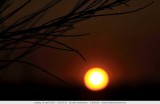 Sunrises & Sunsets