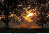 Zonsopgang in Zevendonk Turnhout
