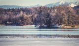 landscapes_color