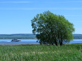 Virée sur l'isle aux Grues