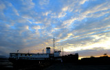 Virée sur l'isle aux Grues