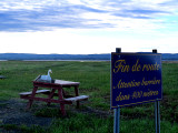 Virée sur l'isle aux Grues