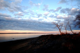Sur le bord de l'eau