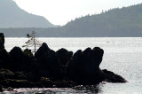 Les rochers noirs